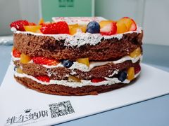 -维尔纳斯·生日蛋糕动物奶油冰淇淋蛋糕(人大店)