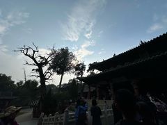 -晋祠公园