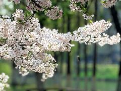 -江南大学(蠡湖校区)