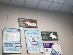 -半岛宠物医院24小时(科华中路店)