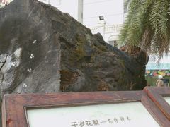 -海口骑楼小吃街