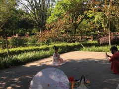 -望江楼公园