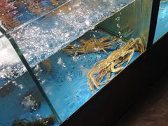 -蟹之国·精品蟹料理(极地店)