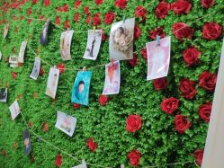 -母仪天下月子中心(光谷店)