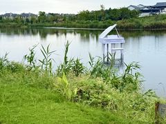 -杭州湾海上花田景区