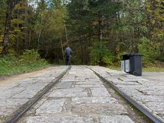 -五营红松林海景区