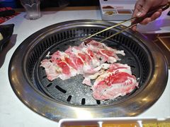 -杨记齐齐哈尔烤肉(总店)