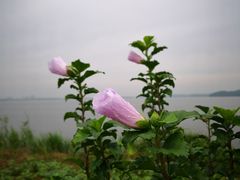 -池州市平天湖风景区