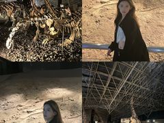 -世界恐龙谷景区