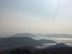 -黄贤森林公园