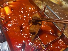 -渝蛙先生领鲜美蛙老火锅