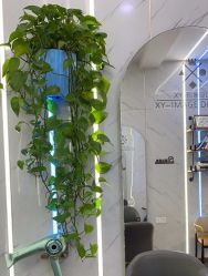 点击看大图 -XY形象设计/烫发·染发·接发