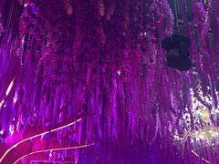 -好友缘酒家(会展中心店)