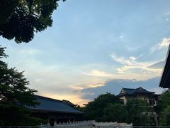 -从都国际庄园