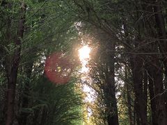 -捞渔河湿地公园