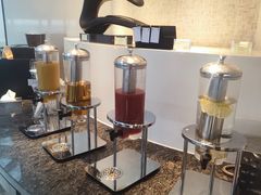 -虹桥机场国航贵宾室v8