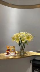 -汤尼英盖TONI&GUY-essensuals