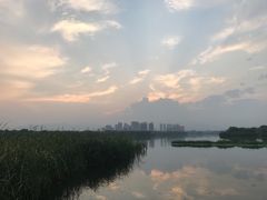 -永定河休闲森林公园