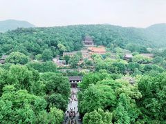 -海底捞火锅(大融城店)