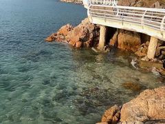 -小梅沙海滨乐园