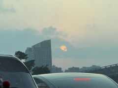 -万绿园