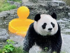 -杭州野生动物世界