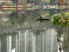 -重庆彩云湖湿地公园