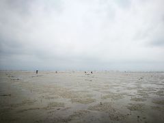 -北海金海湾红树林生态旅游区