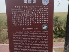-南大港湿地风景区