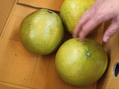 -西郊国际农产品交易中心