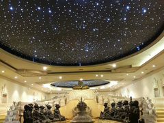 -乐山乌木文化博览苑