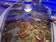 -澜悦港海鲜体验主题餐厅