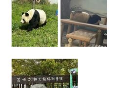 -苏州太湖国家湿地公园