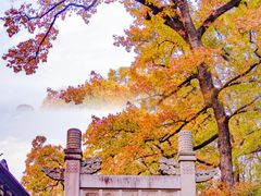 -灵谷景区