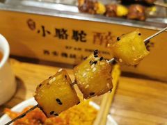 -福苗小骆驼烧烤(莲湖路店)