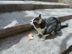 -华山风景名胜区