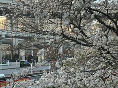 -上海南浦大桥长途旅游客运站