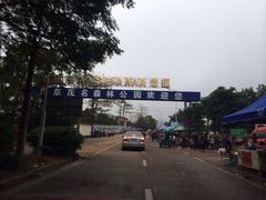 茂名森林公园-广东茂名森林公园