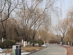 -南翠屏公园
