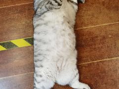 -H立方实景剧情密室(天河旗舰店)