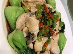 鲜椒鲈鱼-大铁勺酒楼(宾水西道店)