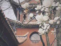 -昆明市金殿名胜区