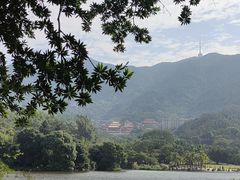 -深圳仙湖植物园