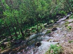 -玉渡山自然风景区