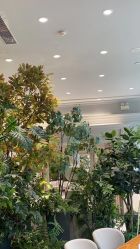 -MuseMarry婚纱(前海嘉里中心店)
