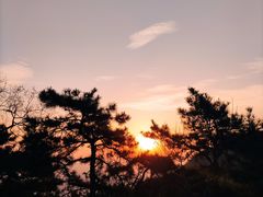 -香山公园