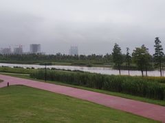 -春花秋色城市公园