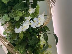 -Aqua Oasis 水天堂(太湖中心mall店)