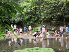 -白水寺森林公园