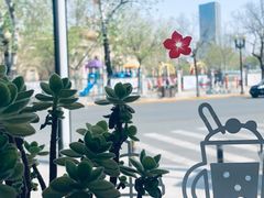 -ZING COFFEE 镜咖啡